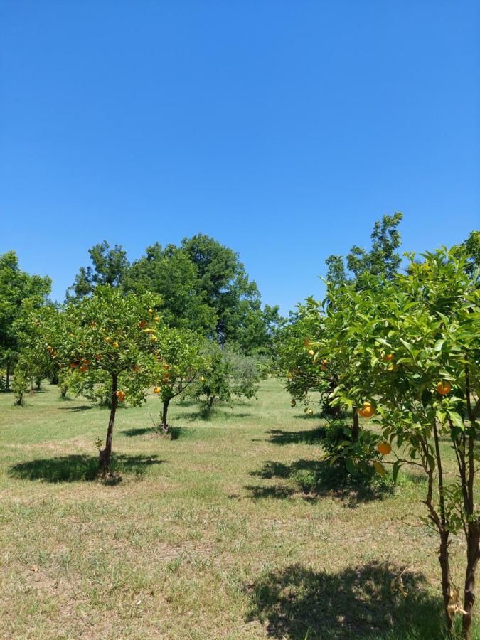 Villa Piersepp B&B Trappitello Luaran gambar
